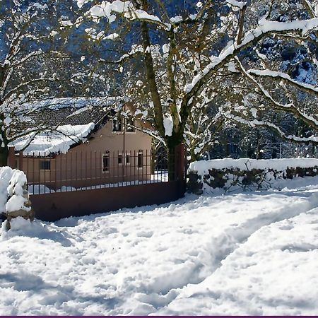 Chalet Coquelicot Kalavryta Dış mekan fotoğraf