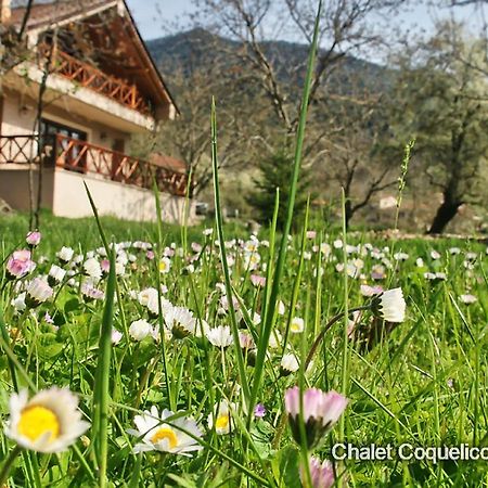 Chalet Coquelicot Kalavryta Dış mekan fotoğraf