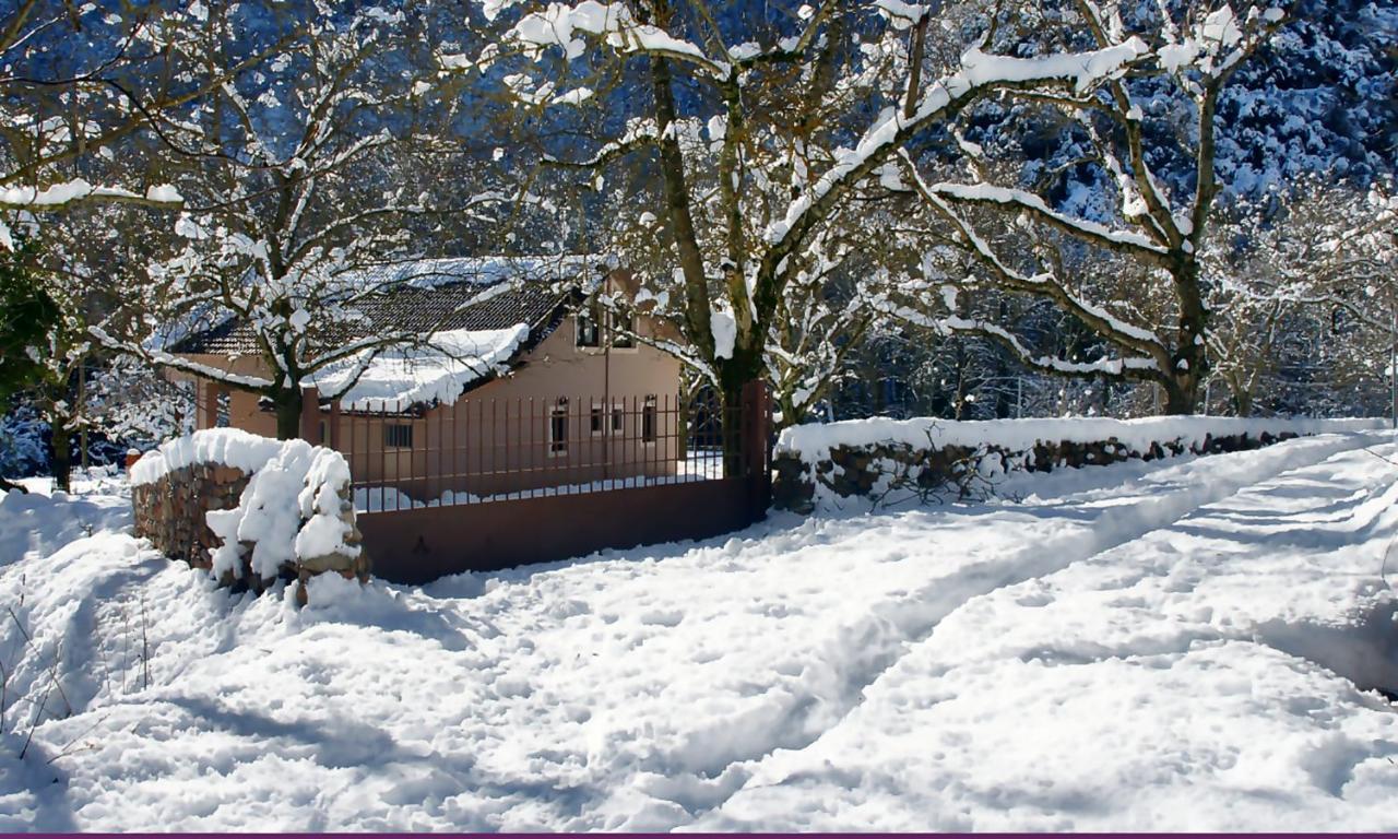 Chalet Coquelicot Kalavryta Dış mekan fotoğraf