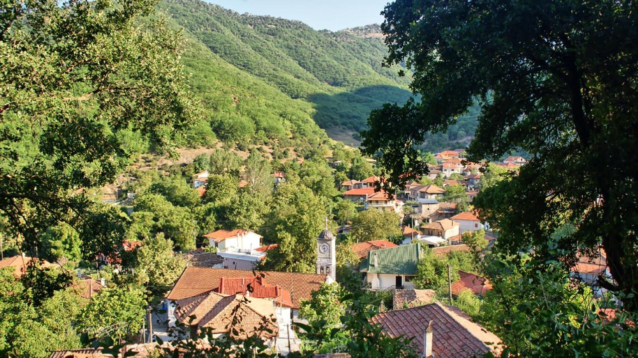 Chalet Coquelicot Kalavryta Dış mekan fotoğraf