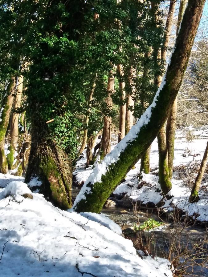 Chalet Coquelicot Kalavryta Dış mekan fotoğraf