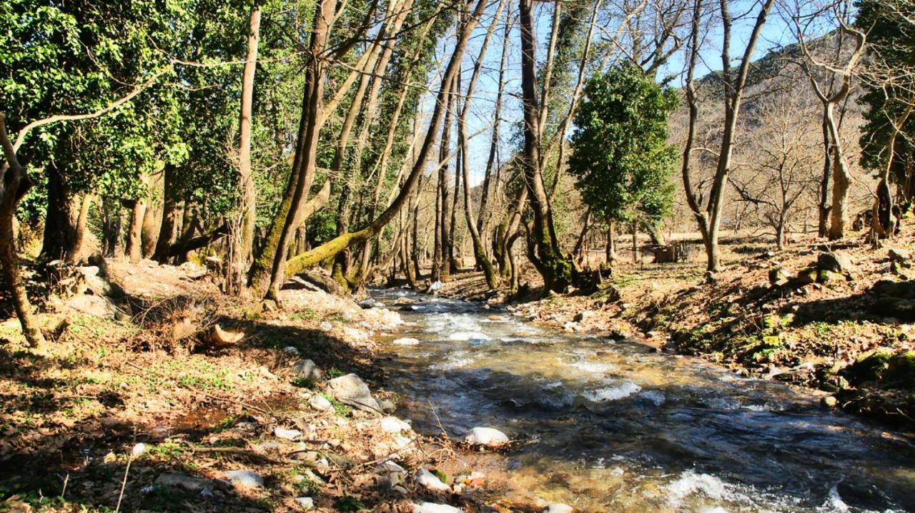 Chalet Coquelicot Kalavryta Dış mekan fotoğraf
