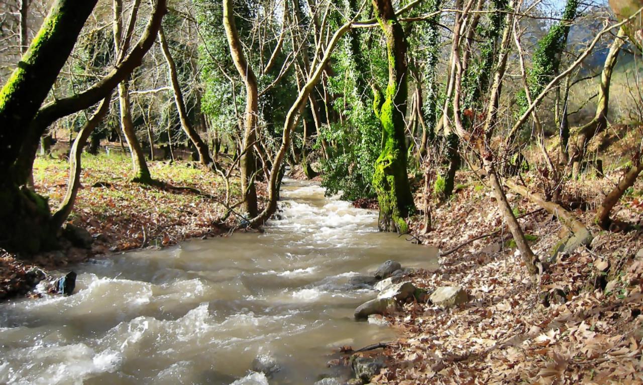 Chalet Coquelicot Kalavryta Dış mekan fotoğraf
