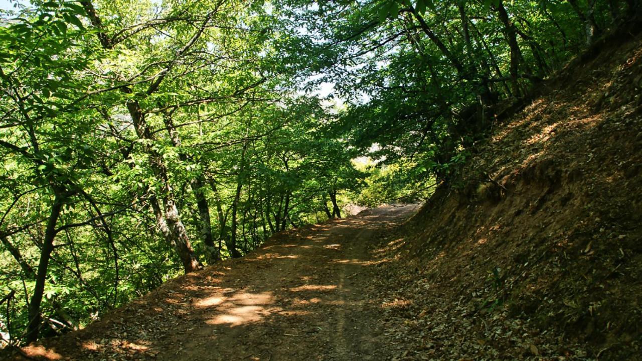 Chalet Coquelicot Kalavryta Dış mekan fotoğraf