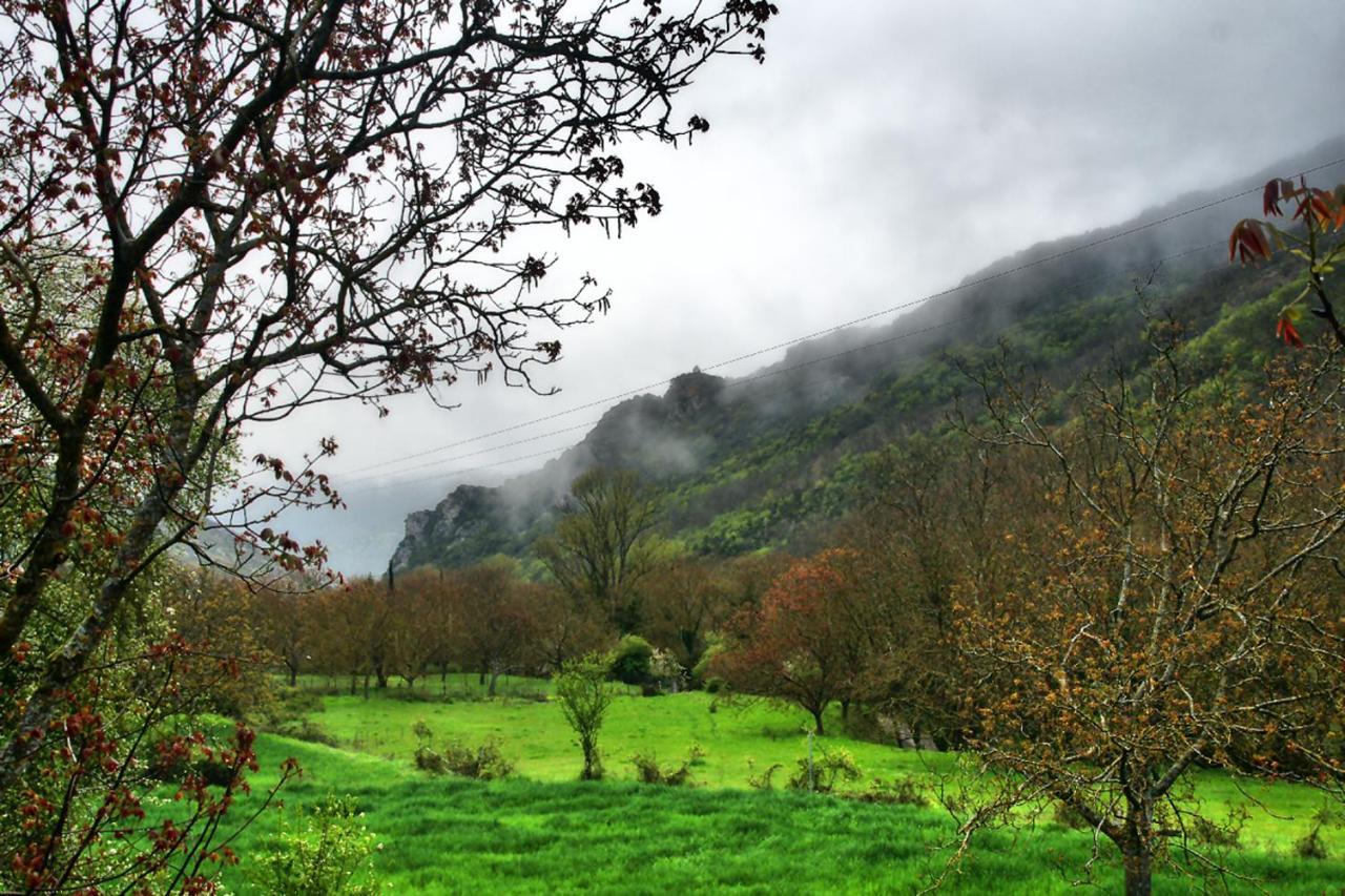 Chalet Coquelicot Kalavryta Dış mekan fotoğraf