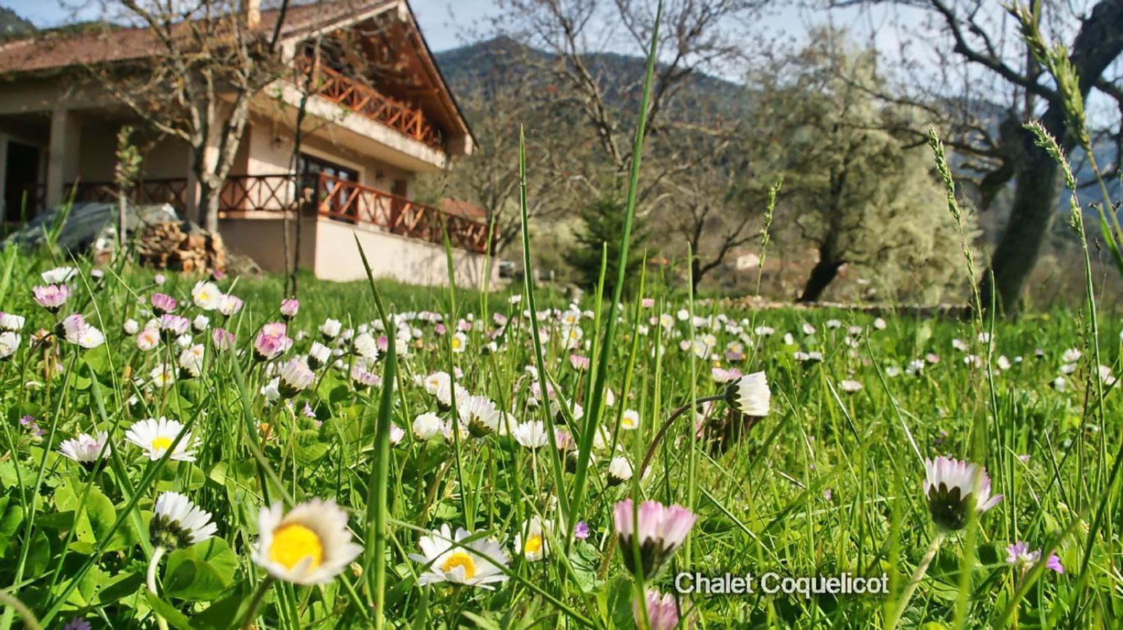 Chalet Coquelicot Kalavryta Dış mekan fotoğraf