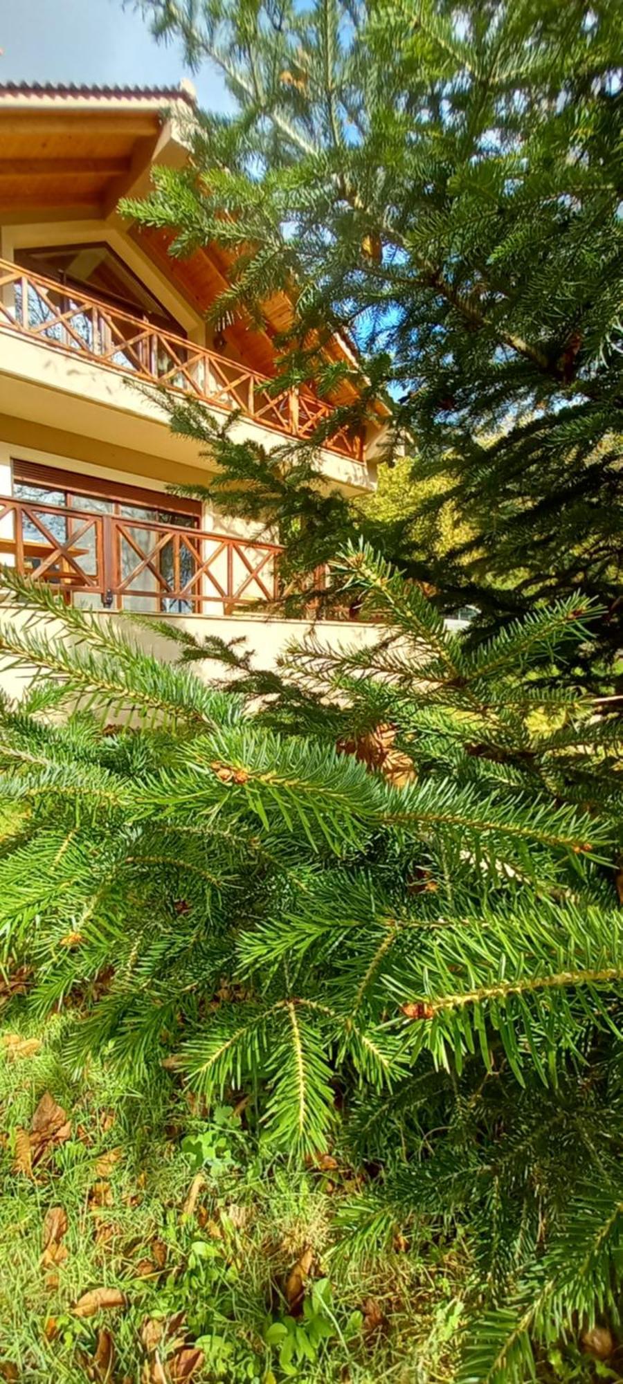 Chalet Coquelicot Kalavryta Dış mekan fotoğraf